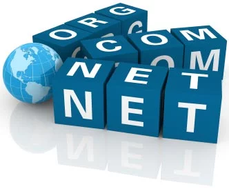 Domain Name Registration/Renewal
